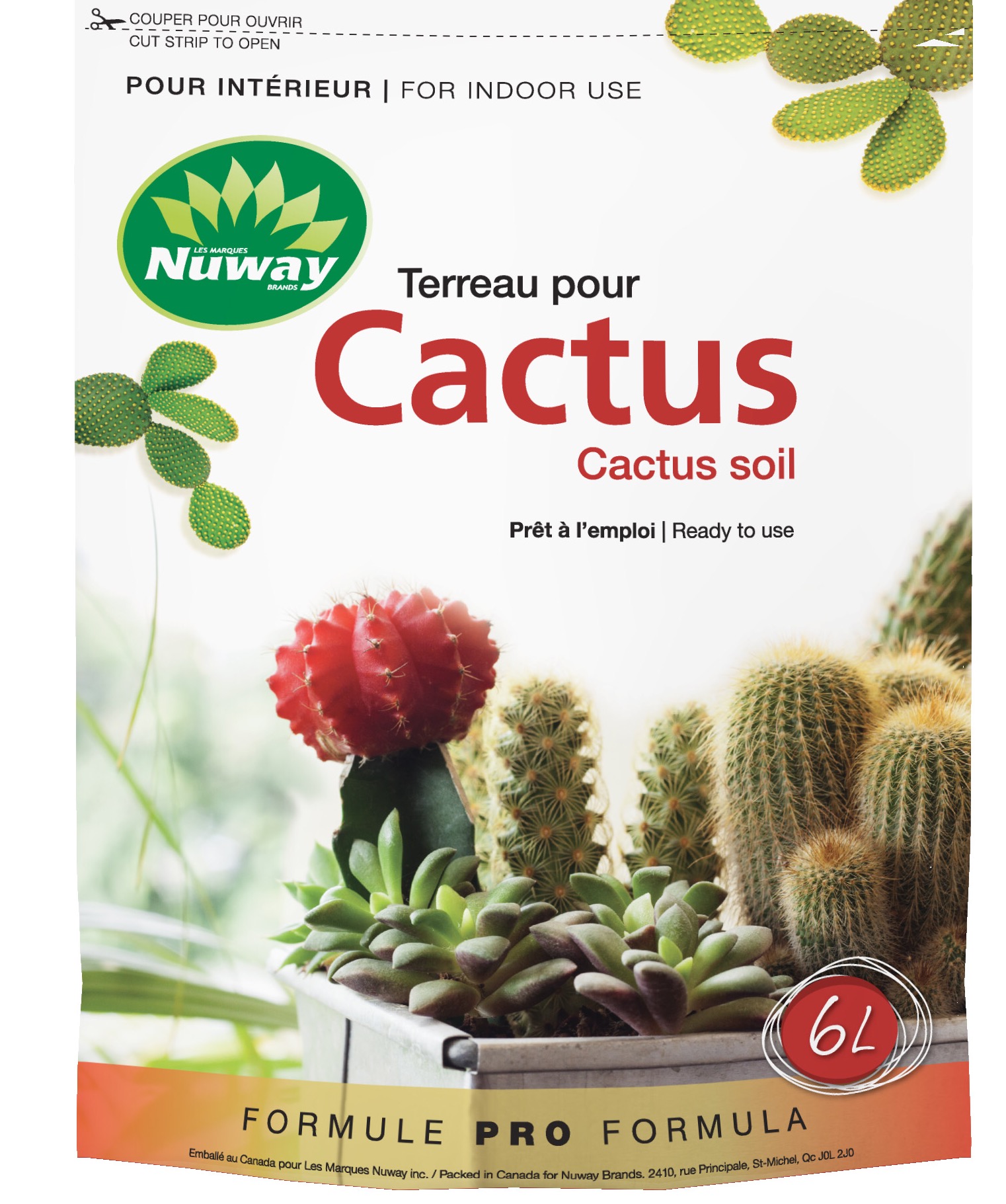 Cactus3D