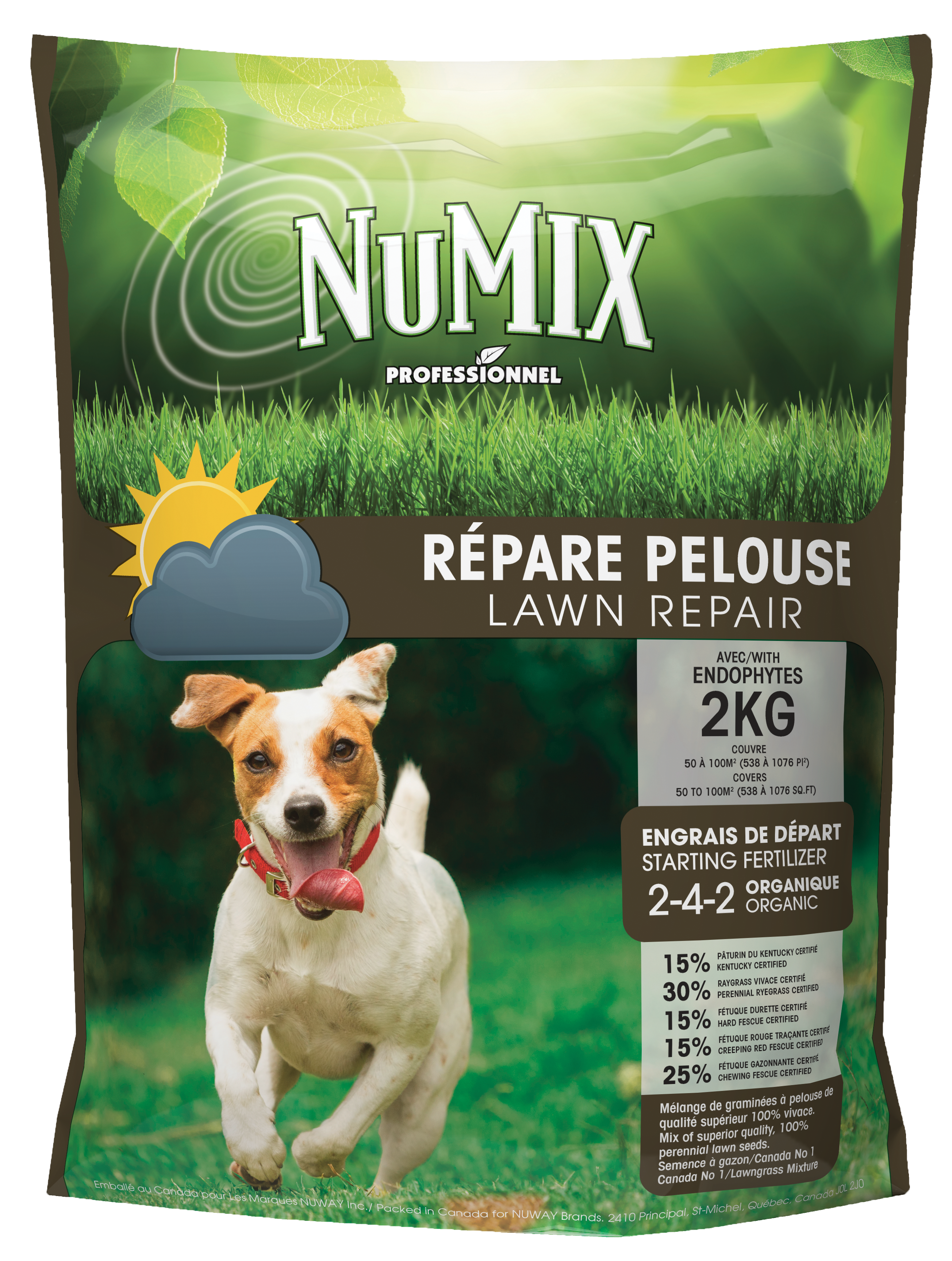 Répare pelouse Numix